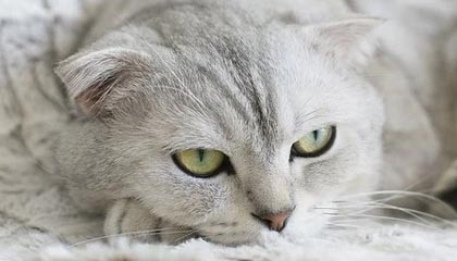 开云官网-邦本宜裕：非常高兴能和铁人续约，希望大家能继续为我们加油