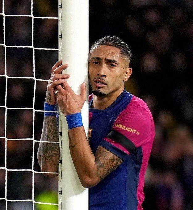 1761350886619039347.jpg lafeiniya.jpg